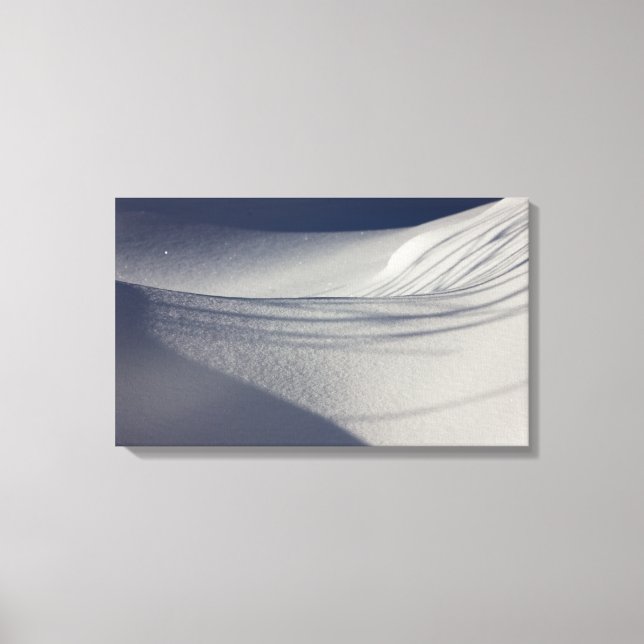 Shadows on untouched snow CC0099 Canvas Print (Front)