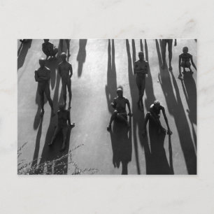 Shadows Postcard