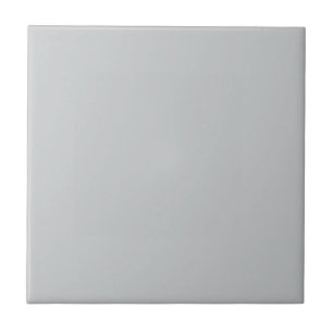 Shadowy Evening Grey Square Kitchen and Bathroom Tile