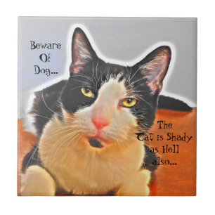 Shady Cat Ceramic Tile
