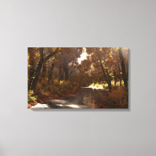 Shady Creek (Autumn) Canvas Print