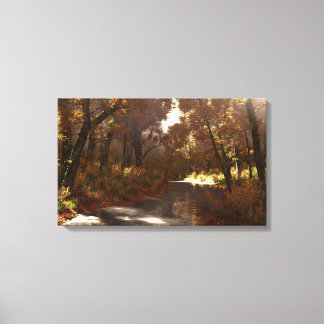 Shady Creek (Autumn) Canvas Print
