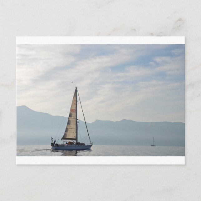 Shady Lady Postcard (Front)