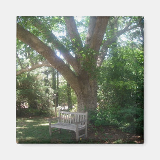 Shady Place to Relax Magnet