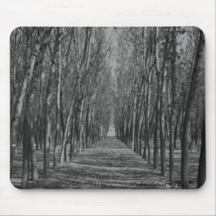 Shady way mouse pad