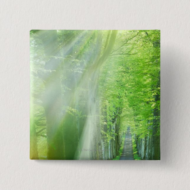 Shafts of Sunlight 15 Cm Square Badge (Front)