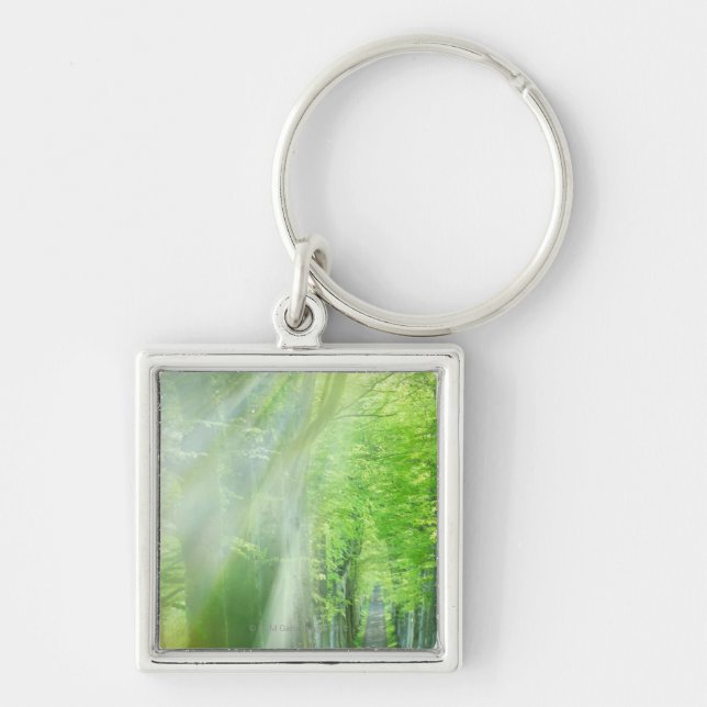 Shafts of Sunlight Key Ring (Front)