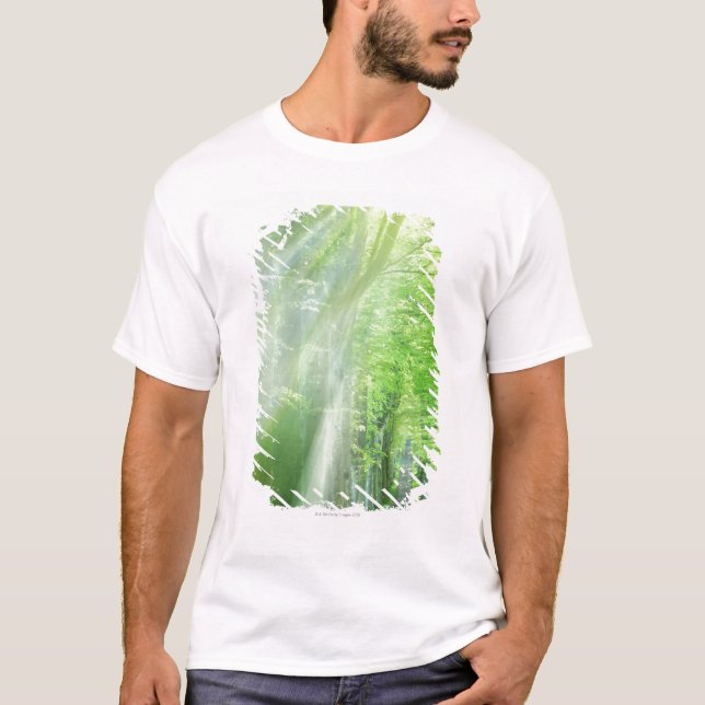 Shafts of Sunlight T-Shirt (Front)