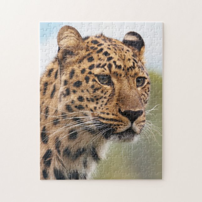 Shaggy Adult Cheetah in the Wild Jigsaw Puzzle (Vertical)