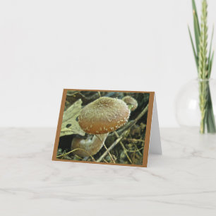 Shaggy Cap Mushroom Note Card