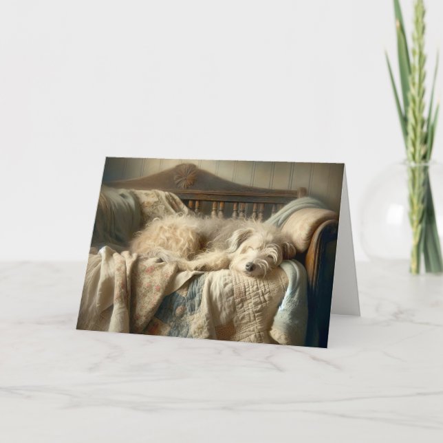 Shaggy Dog Sleeping On A Quilt Card (Front)