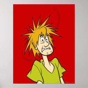 Shaggy Frightened Poster