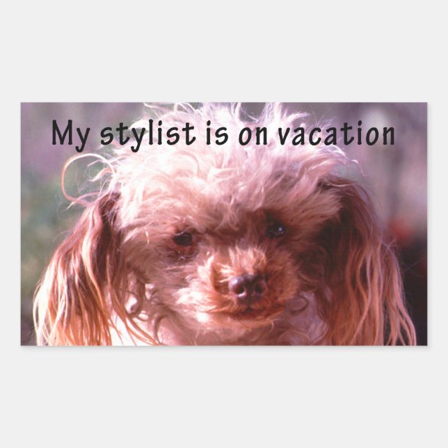 Shaggy Hair Dog Rectangular Sticker (Front)