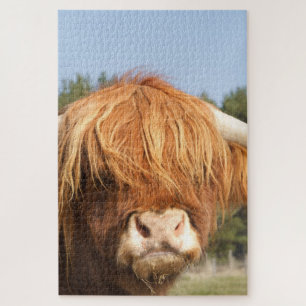 Shaggy-Haired Highland Cow Jigsaw Puzzle