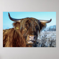 Shaggy Highland Beef Cow Oil Painting