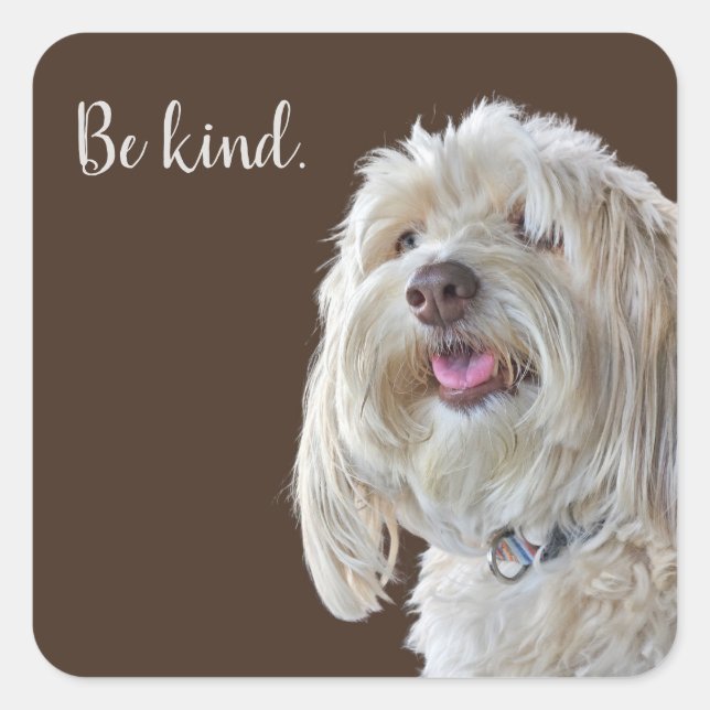 Shaggy Poodle with Quote Square Sticker (Front)