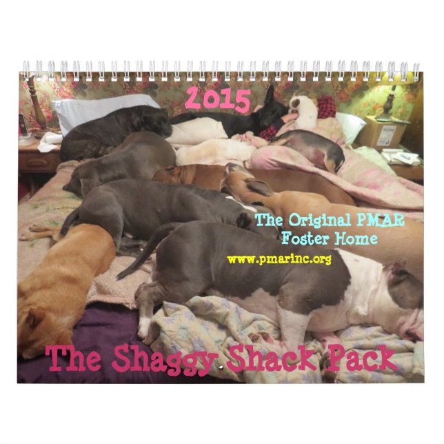 Shaggy Shack 2015 Calendar (Cover)