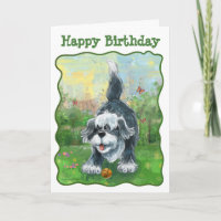 Shaggy Sheep Dog Party Centre