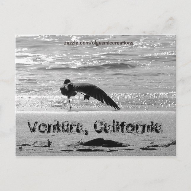 Shake a Leg Postcard (Front)