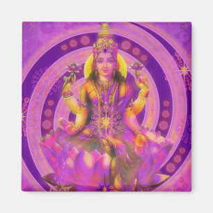 SHAKTI II MAGNET