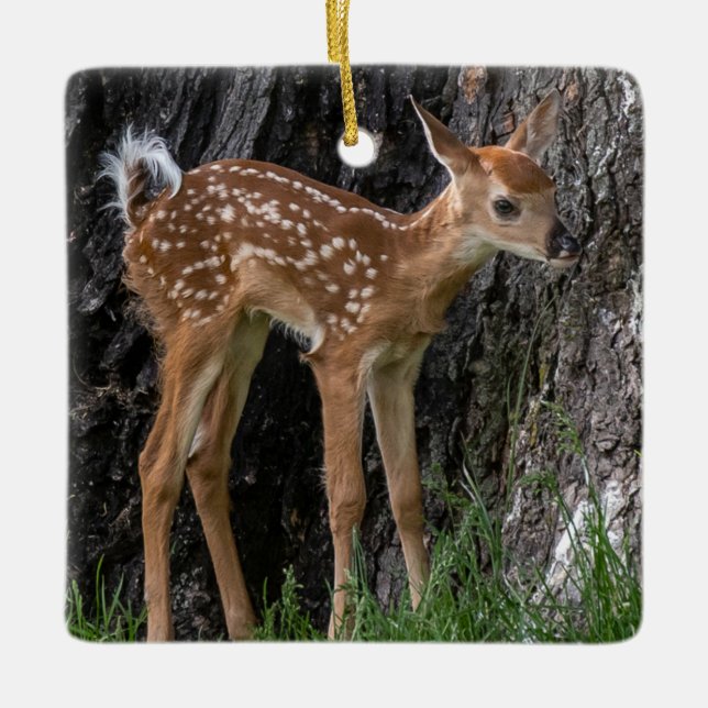 Shaky Legs Fawn Ceramic Ornament (Front)