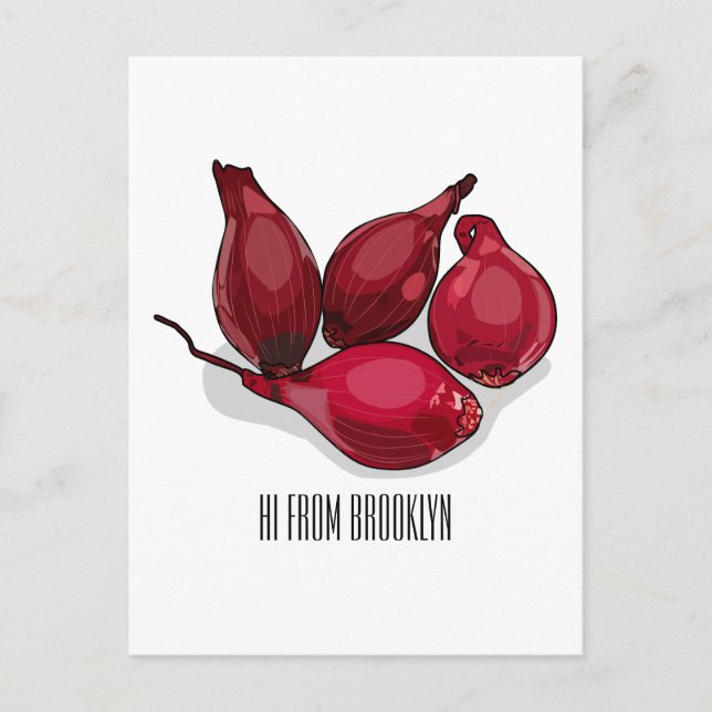 Shallot cartoon illustration postcard (Front)