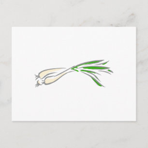 Shallots Postcard