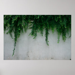 SHALLOW FOCUS PHOTO OF FERN PLANTS POSTER