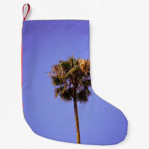 Shallow focus photo of green tree small christmas stocking