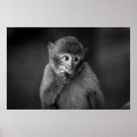 SHALLOW FOCUS PHOTOGRAPHY OF BLACK MONKEY