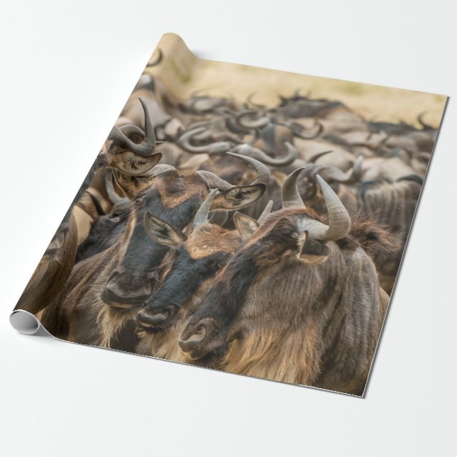 SHALLOW FOCUS PHOTOGRAPHY OF BROWN ANIMALS DURING  WRAPPING PAPER (Unrolled)