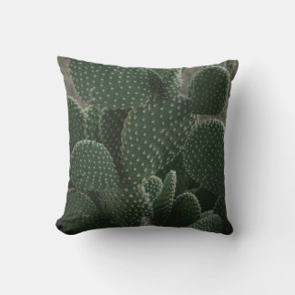 SHALLOW FOCUS PHOTOGRAPHY OF CACTUS CUSHION