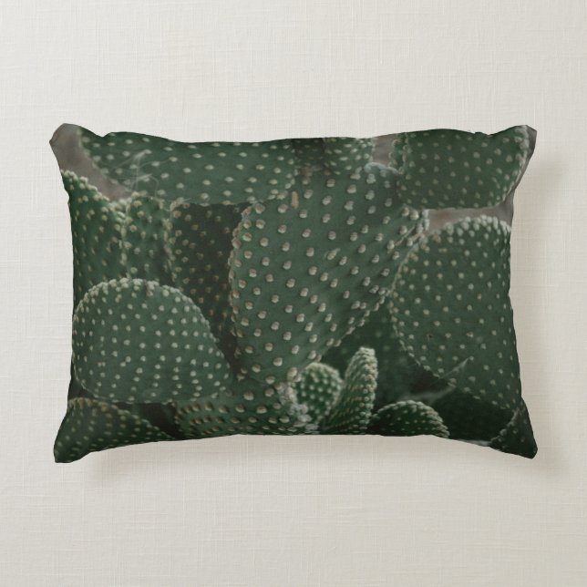 SHALLOW FOCUS PHOTOGRAPHY OF CACTUS DECORATIVE CUSHION (Front)