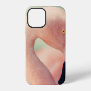 Shallow focus photography of pink flamingo iPhone 12 case