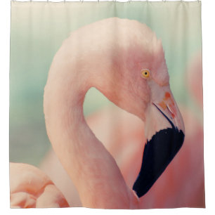 Shallow focus photography of pink flamingo shower curtain