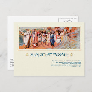 Shalom at Pesach.Fine Art Passover  Postcard