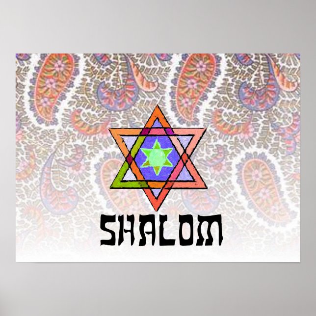 Shalom Pink Paisley Poster (Front)