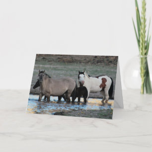 Shaman & Granite ~ Legend Greeting Card