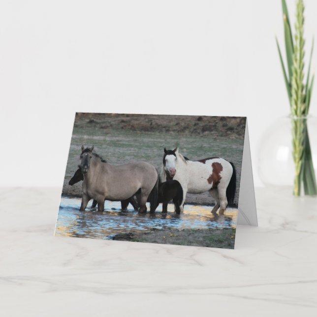 Shaman & Granite ~ Legend Greeting Card (Front)