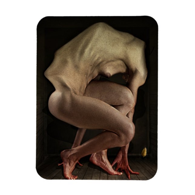 Shame 2012 magnet (Vertical)