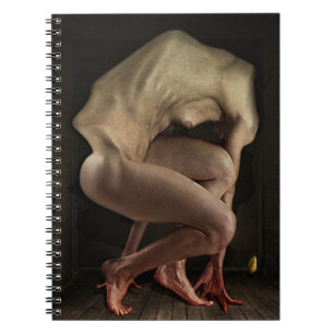 Shame 2012 spiral notebook