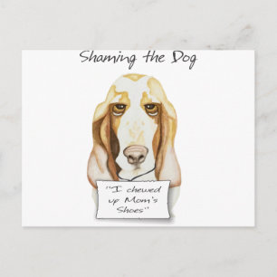 Shaming the Dog Basset Hound Postcard