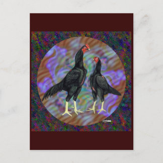Shamo: Black Pair Postcard