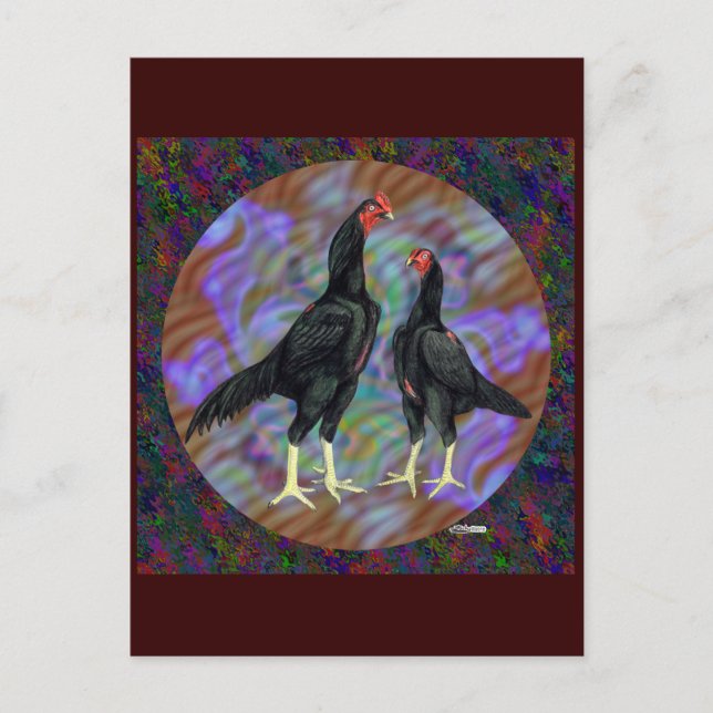 Shamo:  Black Pair Postcard (Front)