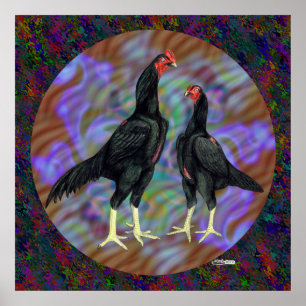 Shamo: Black Pair Poster