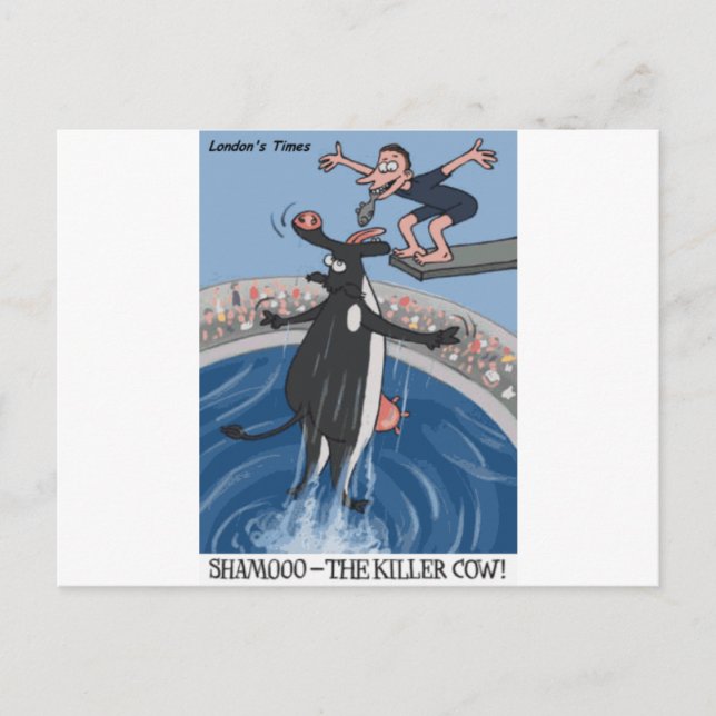 Shamooo Funny Cow Gifts & Collectibles Postcard (Front)