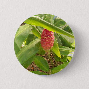 Shampoo Ginger flower 6 Cm Round Badge