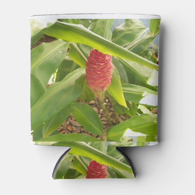 Shampoo Ginger flower Can Cooler (Front)