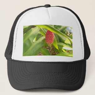 Shampoo Ginger flower Trucker Hat