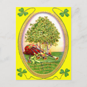 Shamrock Bagpipes Gold Green Postcard